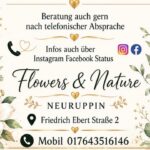 Flowers and Nature